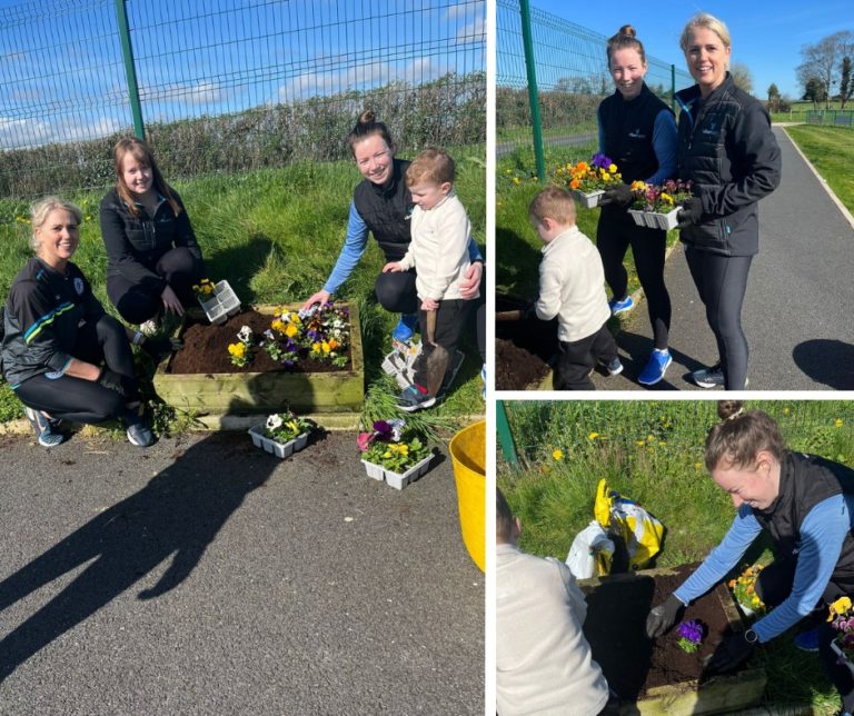 Viberoptix Flower Boxes Northern Ireland