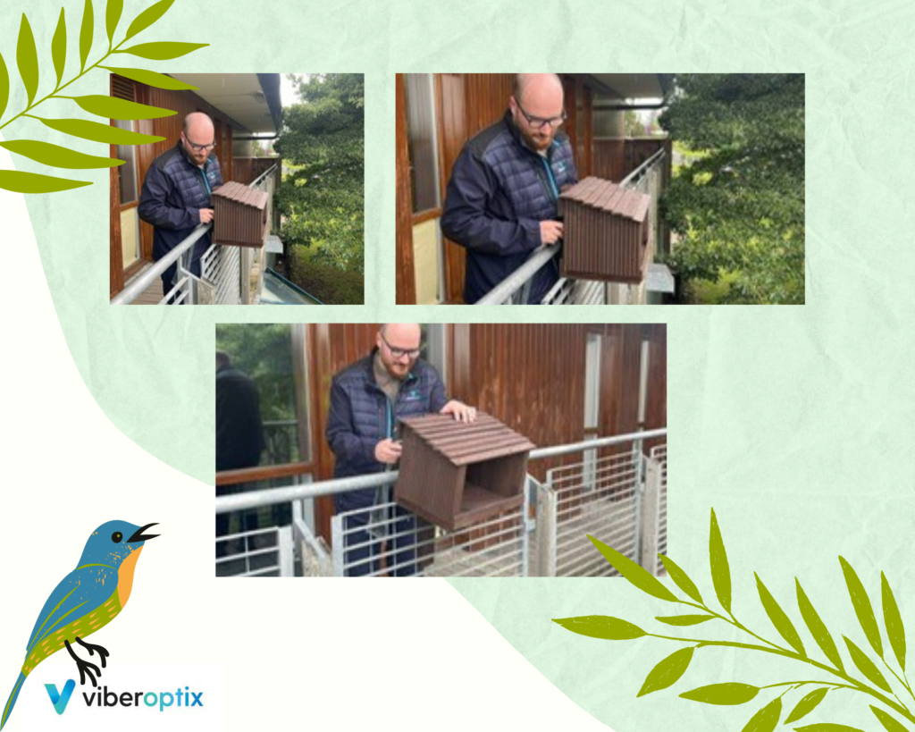 Viberoptix Bird Box Northern Ireland installing-the-bird-box-and-soffit-on-our-14x14-diy-home-addition-youtube